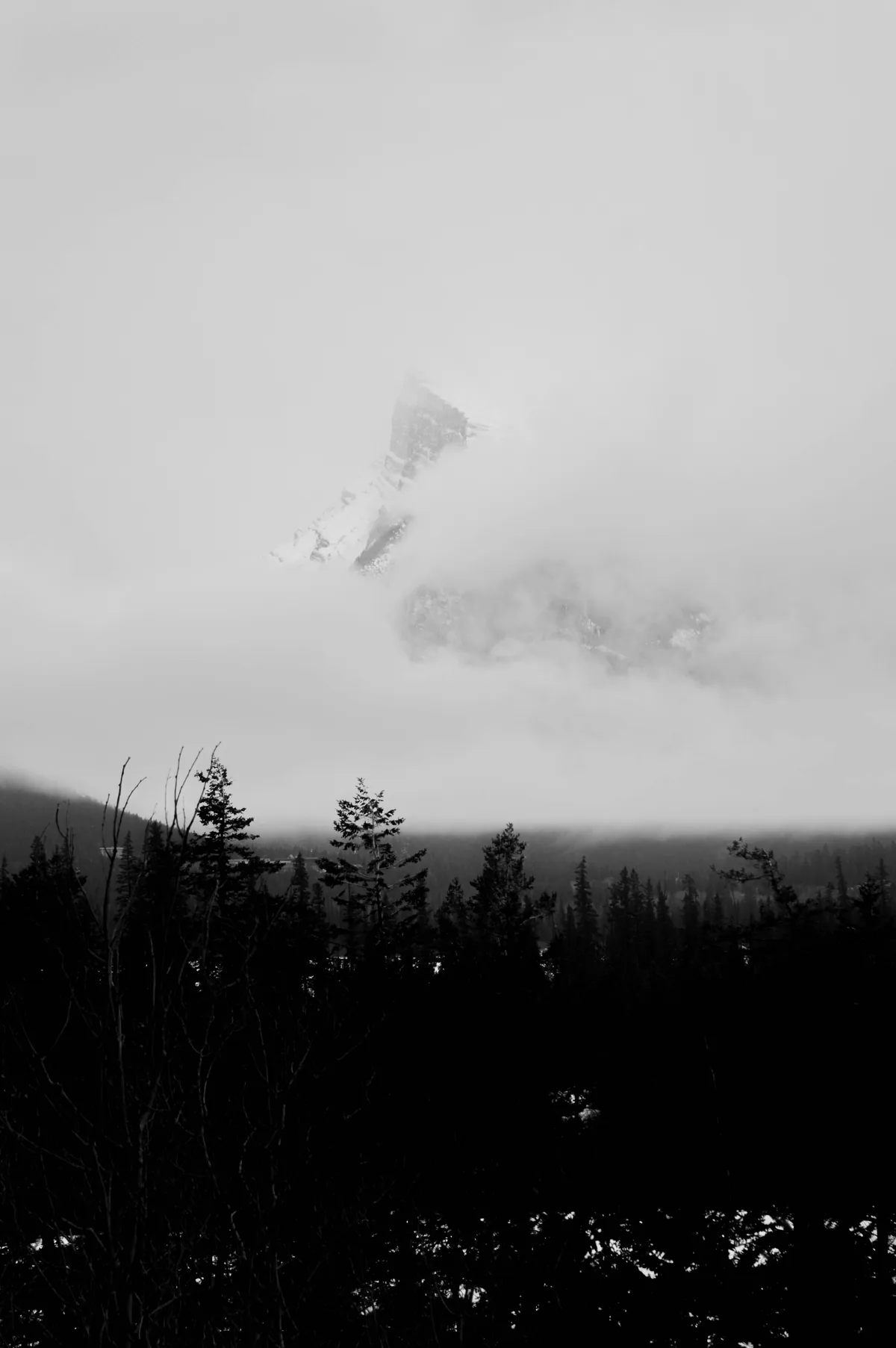 Mountain ridge fading into cloud above a dark forest